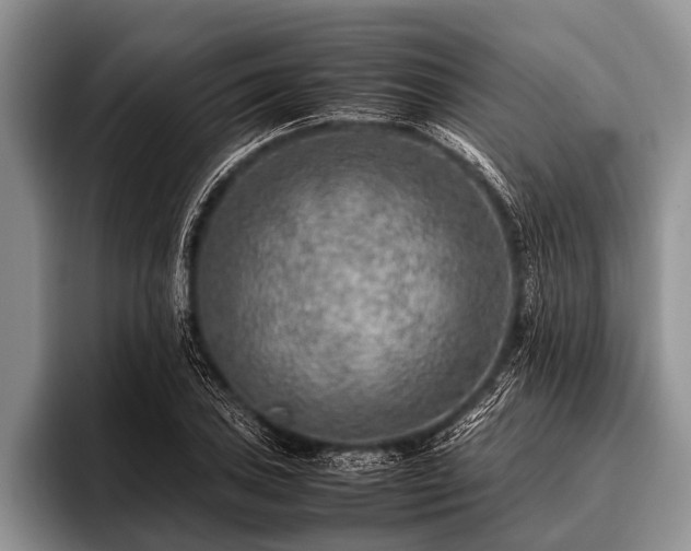 X0000096981027200802081403