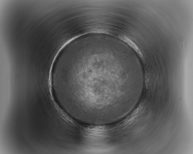 X0000096981028200802081403