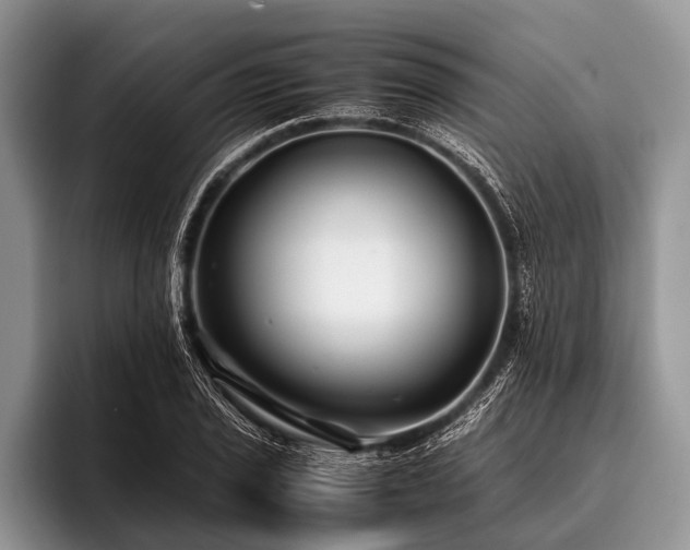 X0000096981029200802081403