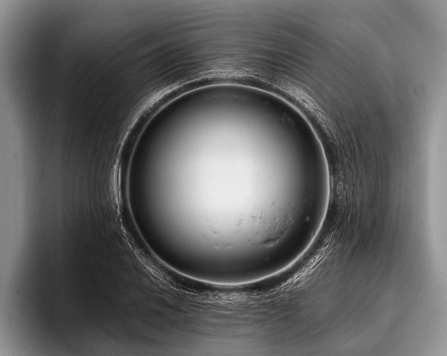 X0000096981030200802081403