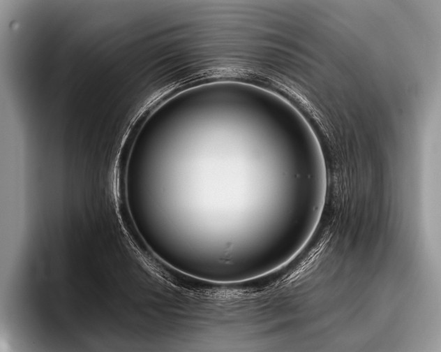 X0000096981034200802081403