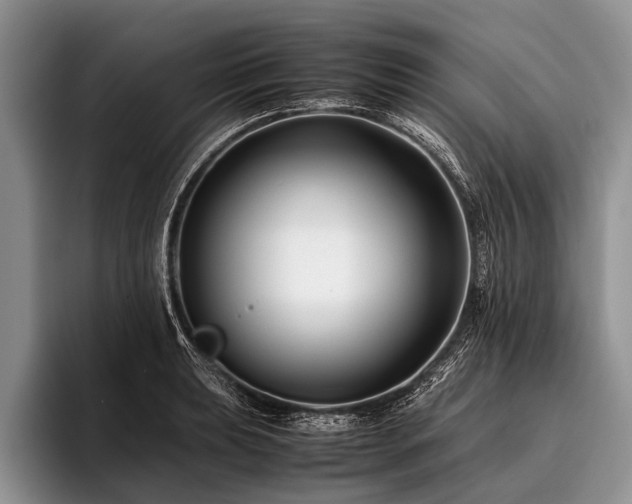 X0000096981039200802081403