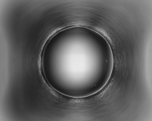 X0000096981040200802081403