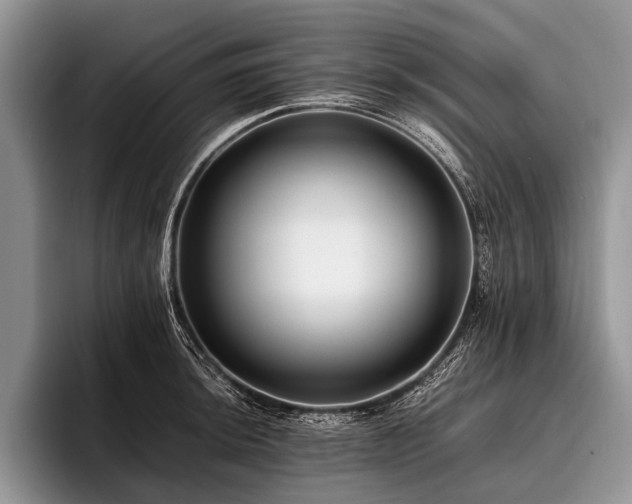 X0000096981044200802081403