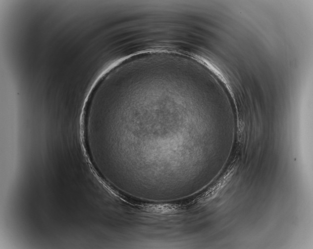 X0000096981045200802081403