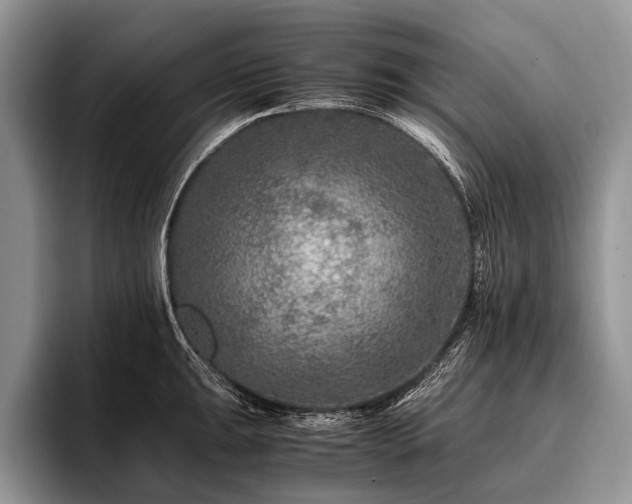 X0000096981047200802081403