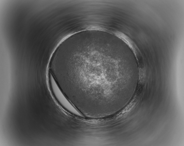 X0000096981048200802081403