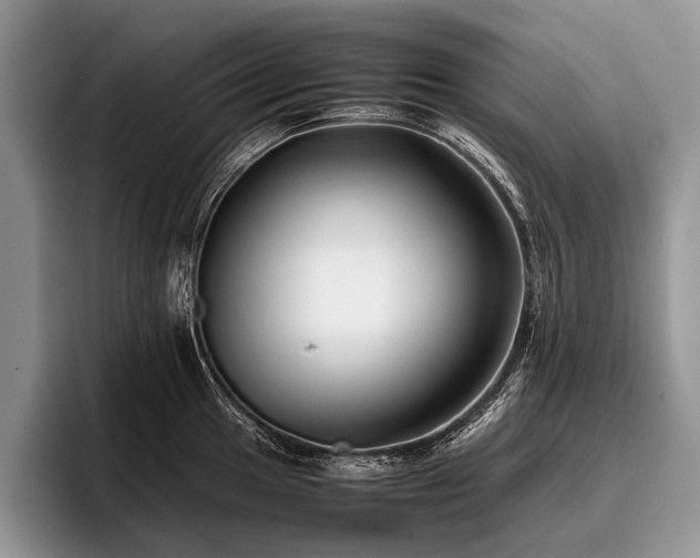 X0000096981049200802081403