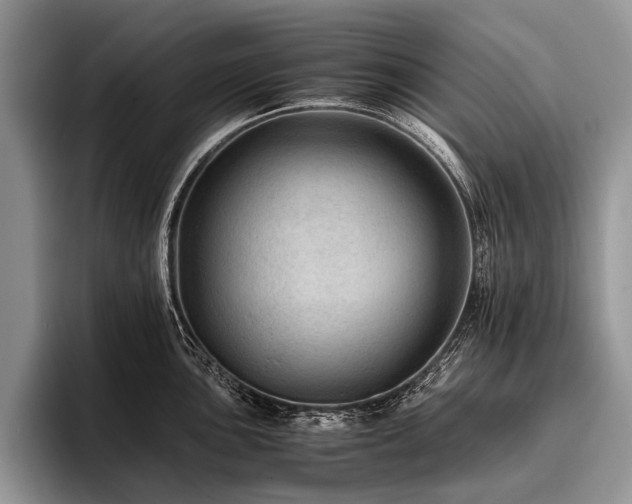 X0000096981051200802081403