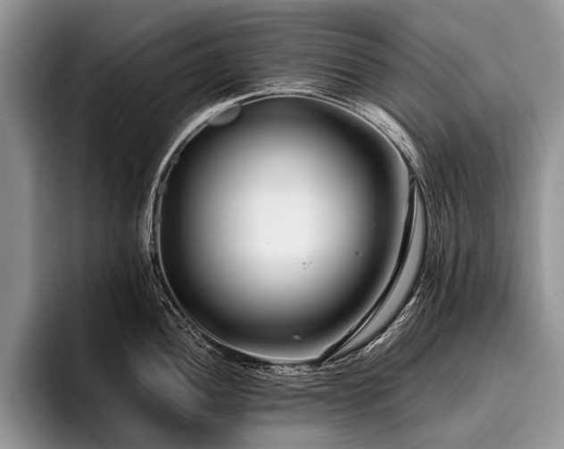 X0000096981052200802081403