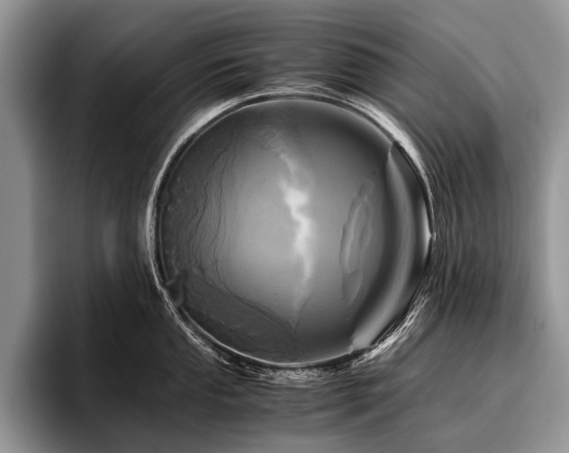 X0000096981053200802081403