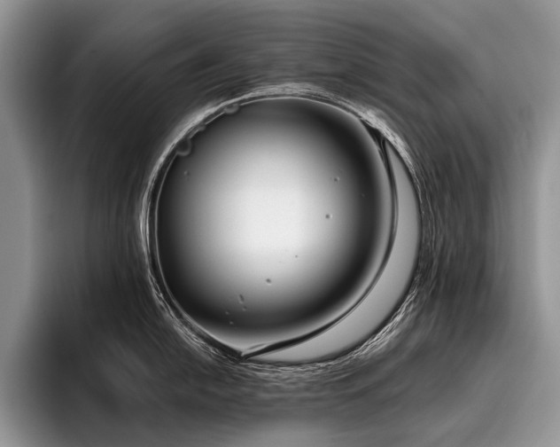 X0000096981054200802081403