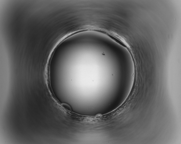 X0000096981056200802081403