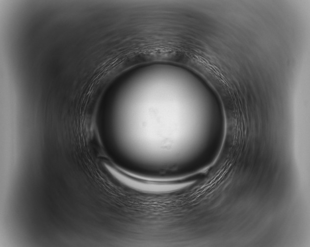 X0000096981058200802081403