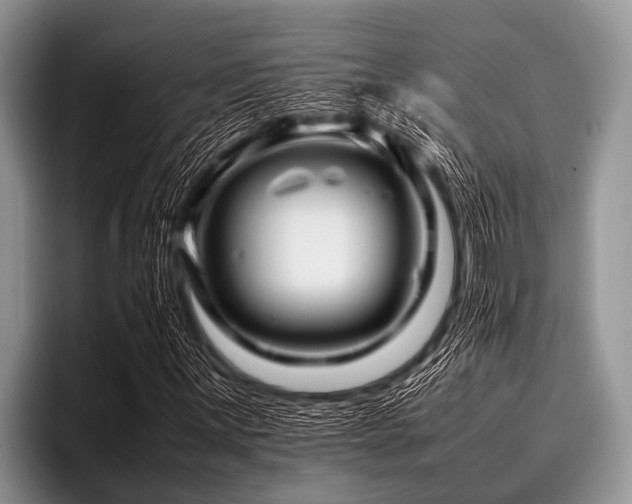 X0000096981059200802081403