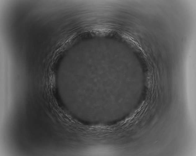 X0000096981061200802081403