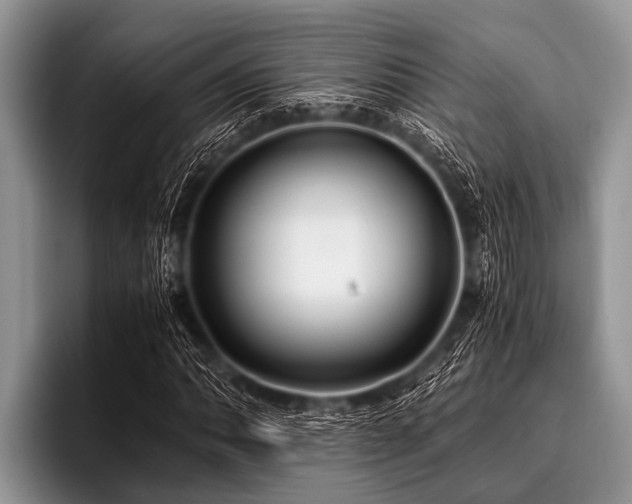 X0000096981062200802081403