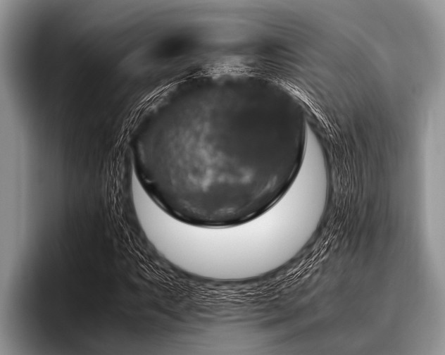 X0000096981063200802081403