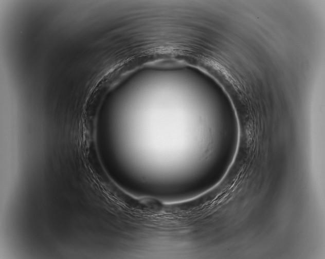 X0000096981064200802081403