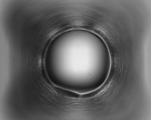 X0000096981065200802081403