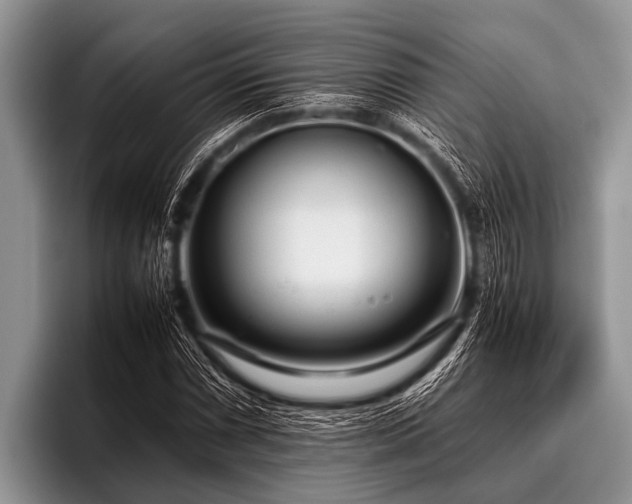 X0000096981066200802081403