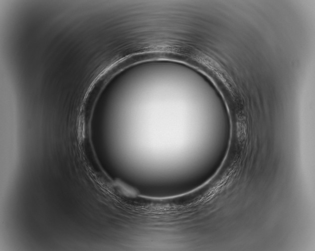 X0000096981069200802081403