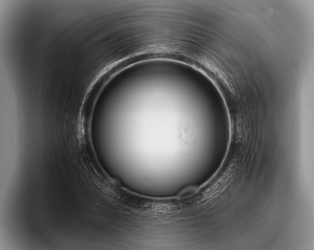 X0000096981070200802081403