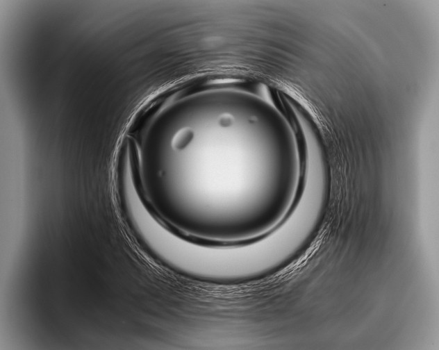 X0000096981071200802081403