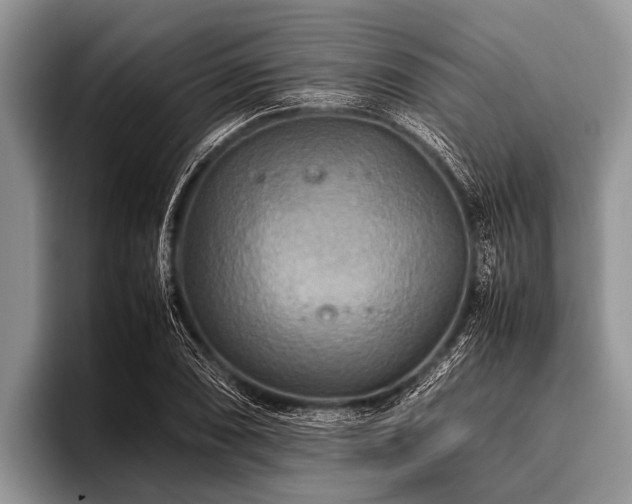 X0000096981074200802081403