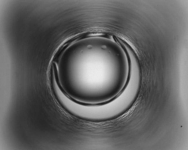 X0000096981075200802081403