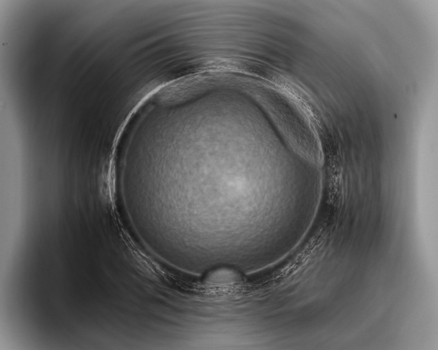 X0000096981076200802081403