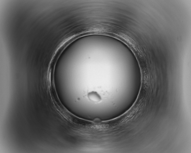 X0000096981078200802081403