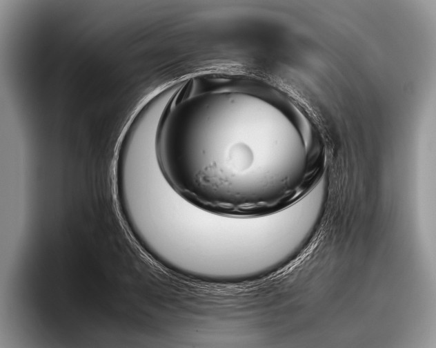 X0000096981079200802081403