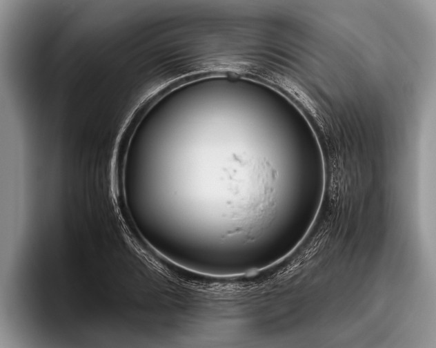 X0000096981080200802081403