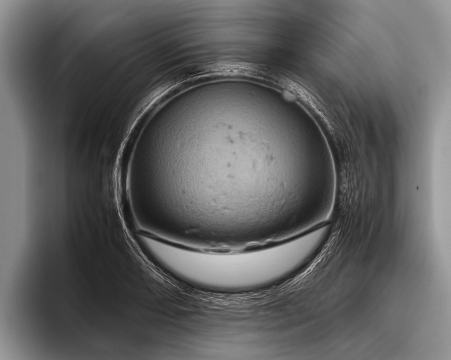 X0000096981082200802081403