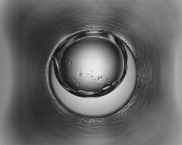 X0000096981083200802081402