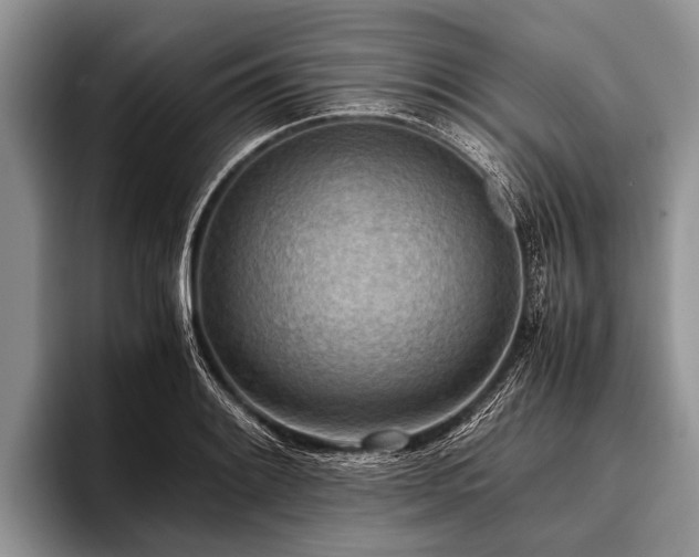 X0000096981084200802081402