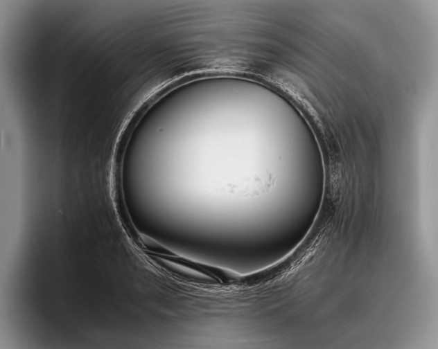 X0000096981085200802081402