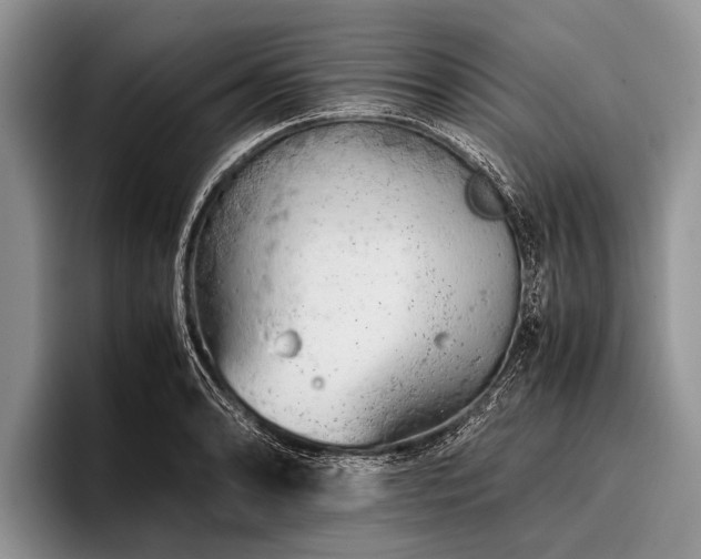 X0000096981086200802081402