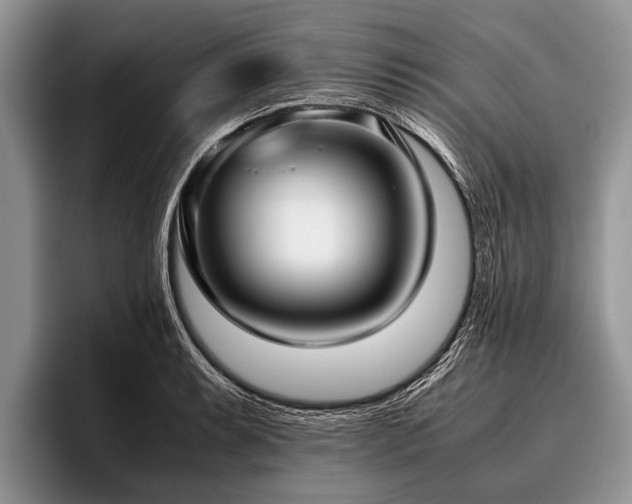 X0000096981087200802081402