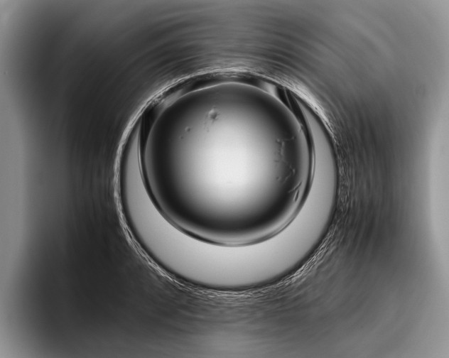 X0000096981088200802081402