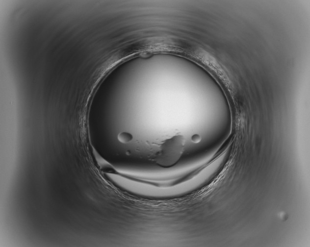 X0000096981089200802081402