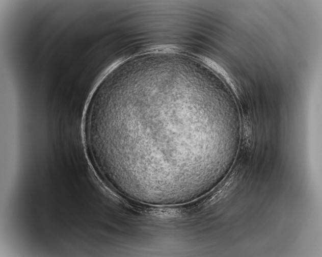 X0000096981090200802081402