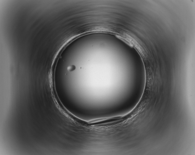 X0000096981092200802081402