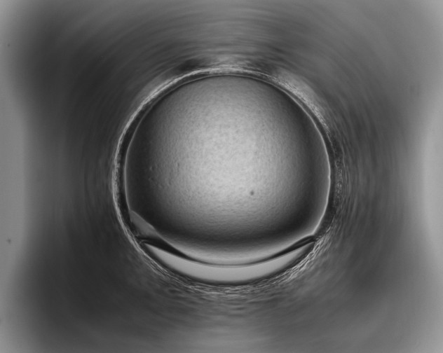 X0000096981093200802081402