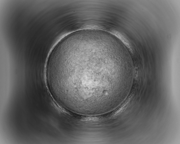 X0000096981094200802081402