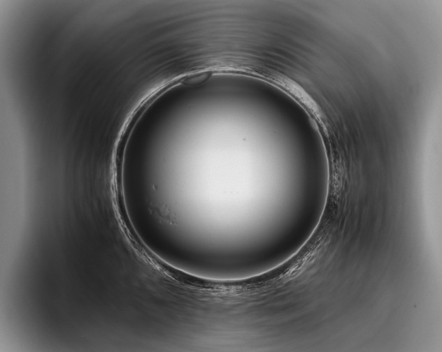 X0000096981096200802081402