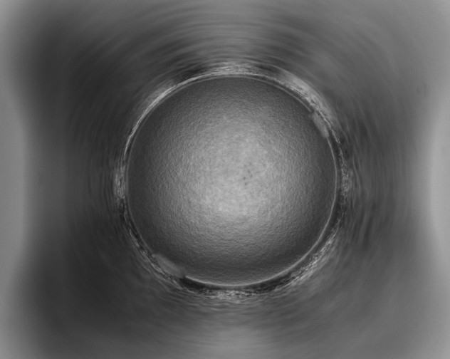 X0000096981097200802081402