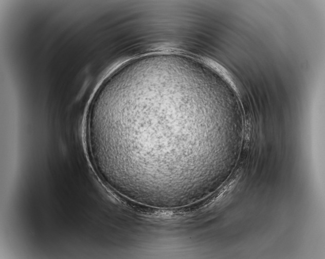 X0000096981098200802081402