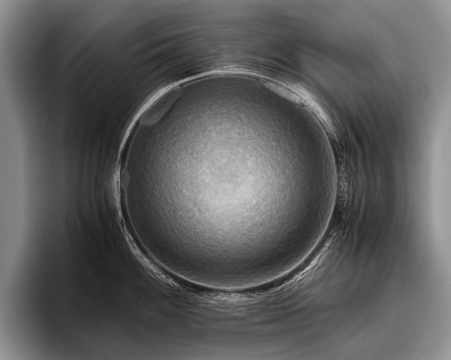 X0000096981100200802081402